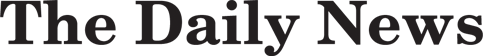 website logo